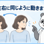 眼鏡と白衣のパンダ施術者が、首を左右に向ける女性のイラストを示しているアイキャッチ