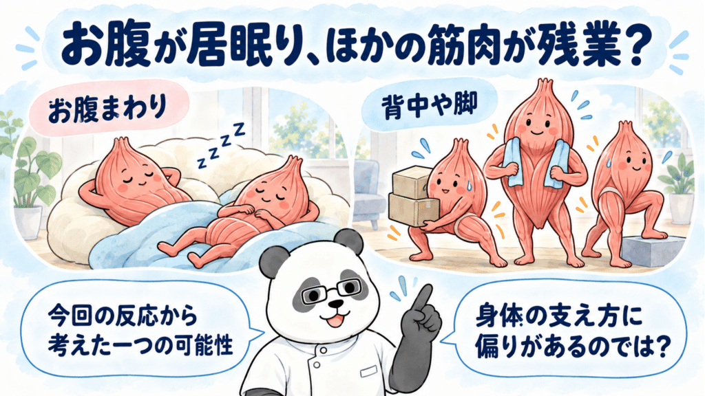 お腹まわりが居眠りし、背中や脚が姿勢を支えて働く、筋肉の役割の偏りを説明する比喩。一事例の見立てであることを添えている。