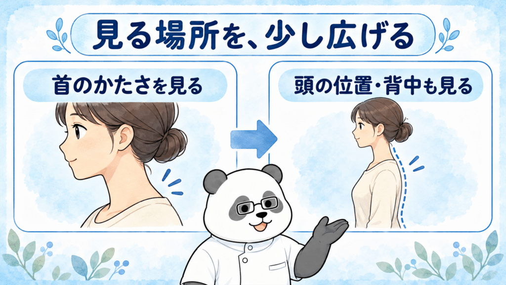 首だけをゆるめる見方から、頭の位置と背中も確認する見方へ