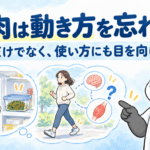 眼鏡と白衣のパンダが、お弁当と身体の動きのイラストを示し、筋肉の力と使い方について問いかける。