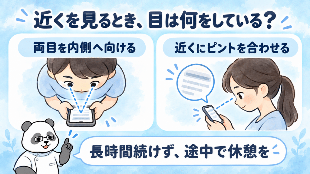 近くを見るときの二つの働き。両目を内側へ向けることと、近くにピントを合わせることを図で示す。