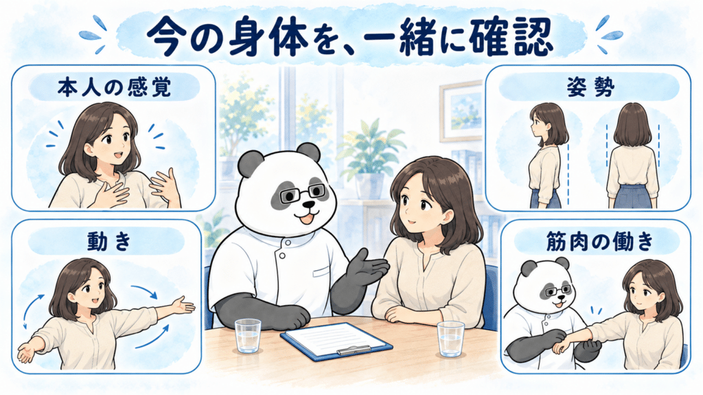 身体の確認で見る、本人の感覚・姿勢・動き・筋肉の働きの図