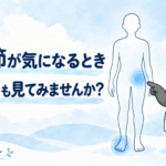 眼鏡と白衣のパンダ施術者が、股関節と足元へ目を向けることを案内するイラスト。